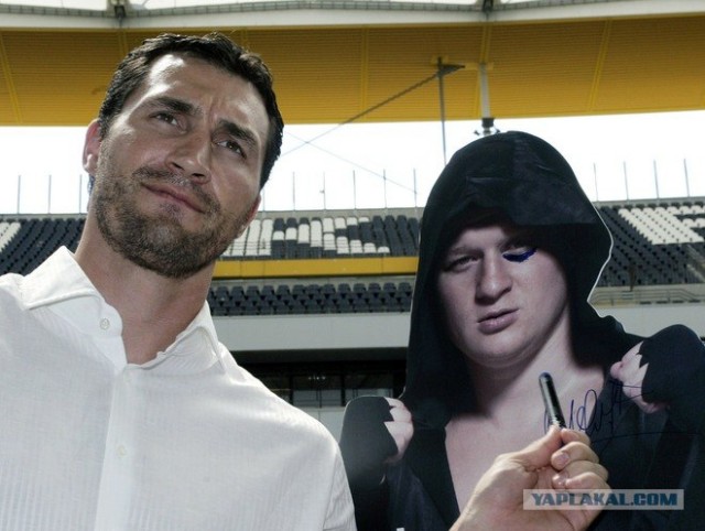 БОКС/MMA....