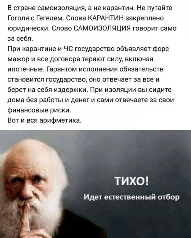 Карантин! Карантин? Задобали "бумагоиздаватели" всех рангов!