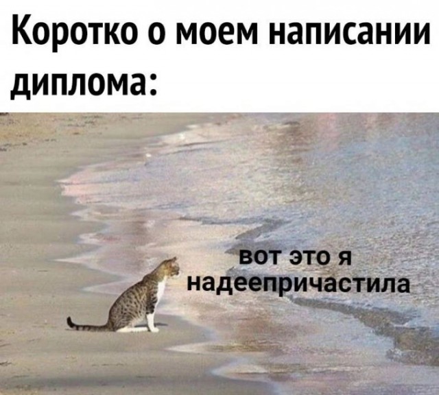 Немного картинок для настроения 111
