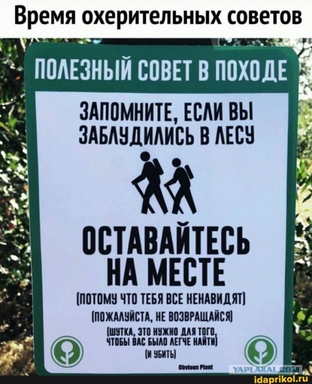 Ура, товарищи, началось грибное время!