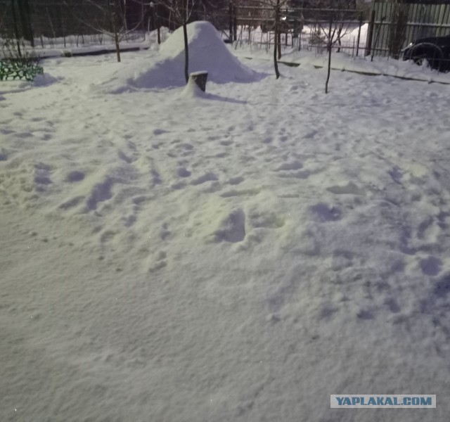 Двойные стандарты