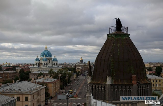 Фотографии СПб