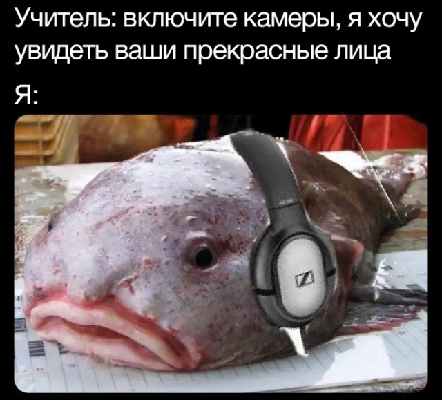 Весёлый полтишок 1.03