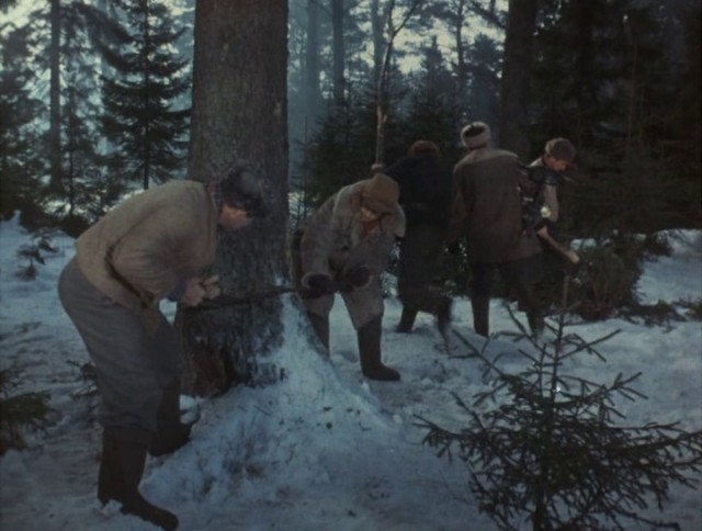 Кинокадры