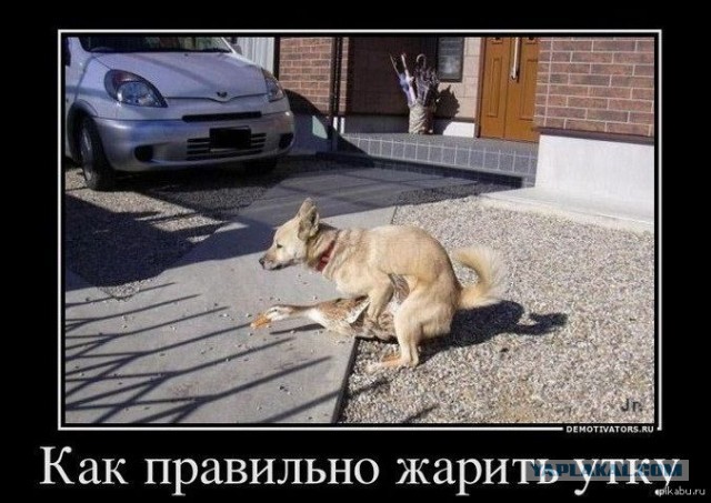 Осторожно, мат
