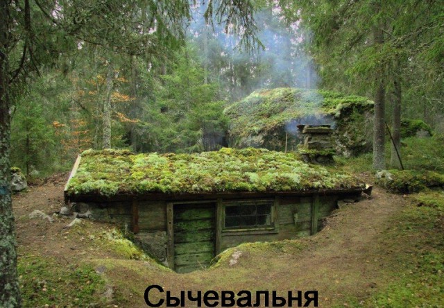35 картинок разных 23.07.2021