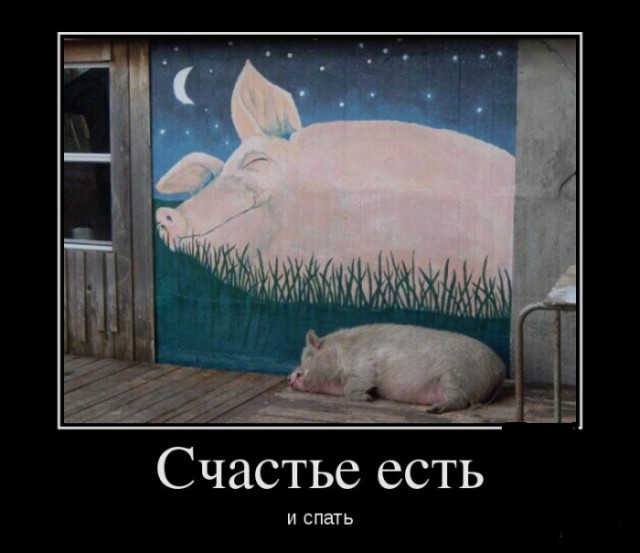 Так себе картинки 16.08.21