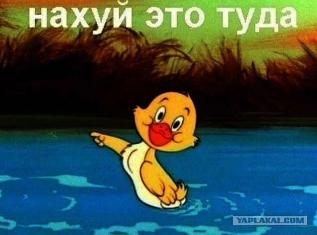Какое я имею право спрашивать у человека куаркод. И кто они такие все, кто спрашивает код
