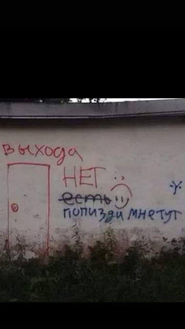 Всяческие картинки 10.12.2021