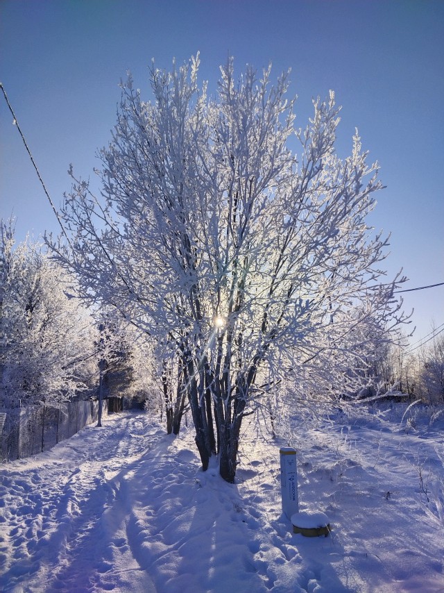 Не корона, не куркод, не казахи. Глянь на снежную сказку