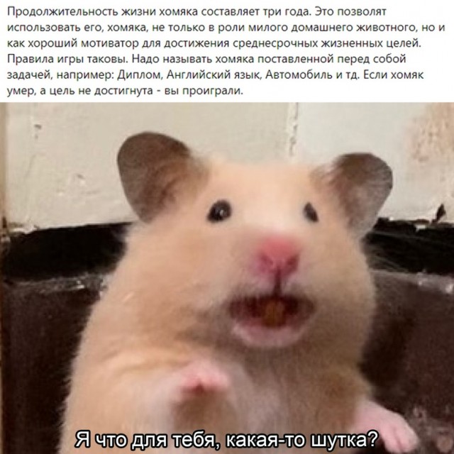 Весёлый полтишок 28.01