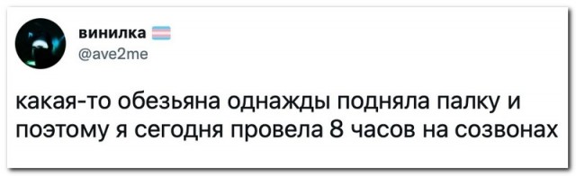 Забавные комментарии из социальных сетей (14.02.22)
