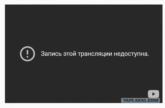 Стрим муравьиной фермы в 4K