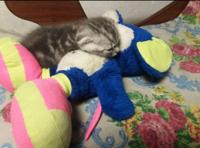 Выключайте скорее свои мимиметры!