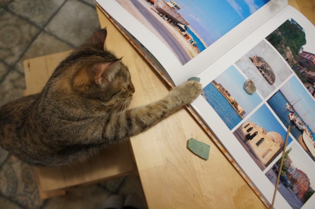 Котовторник вроде.