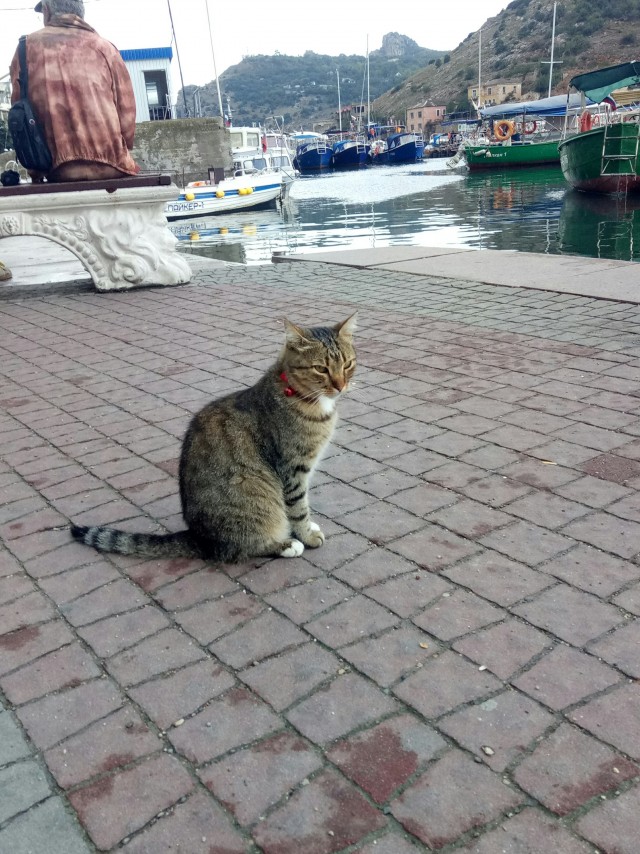 Рыбалка в Балаклаве