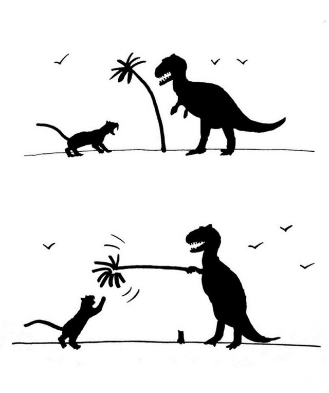 Так себе картинки 25.05.22