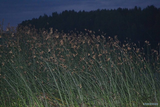 Отдых по-русски.