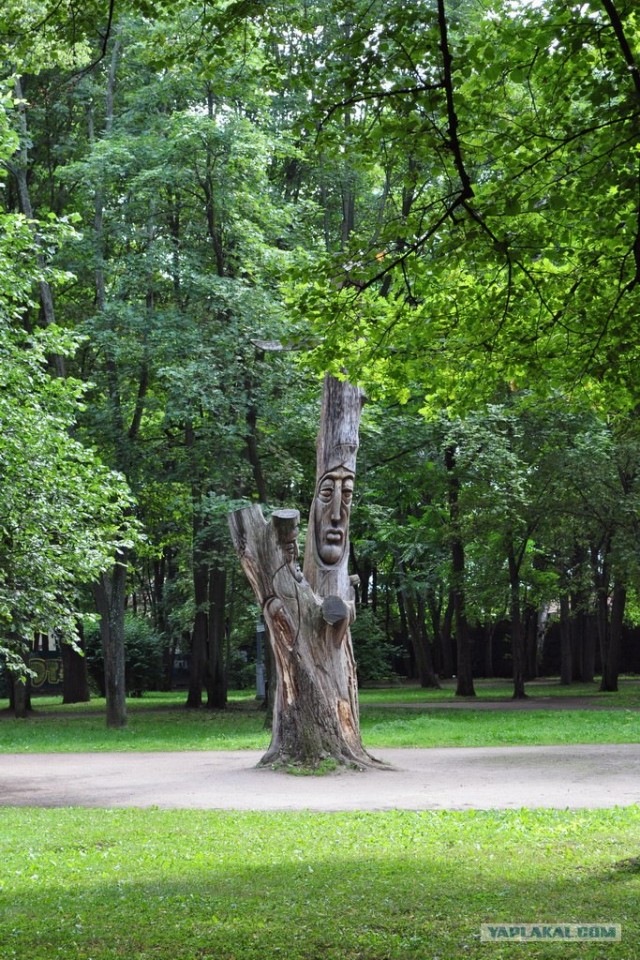 Поездка в Выборг