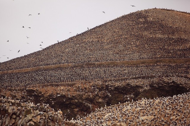 Южно-Американский дневник. Перу.