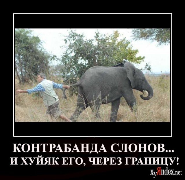 50 Пикчев из старых запасов