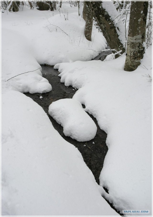 Крым. Терновка. Зимние дороги.