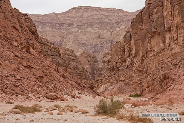 Синайские приключения. Шарм-эш-Шейх и окресности