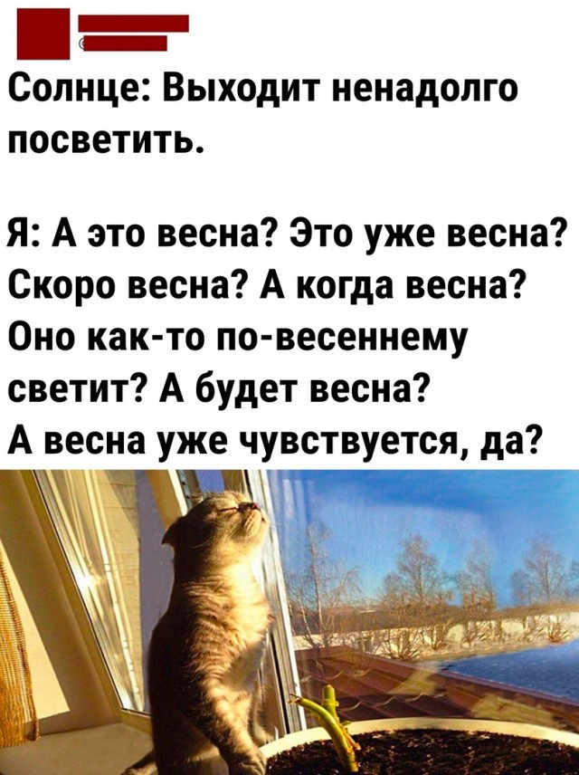 Так себе картинки 18.02.23