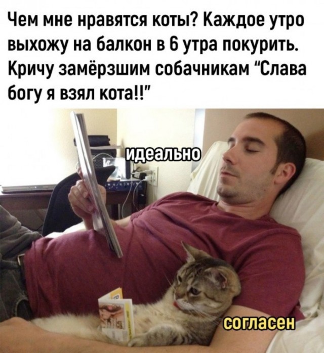 Так себе картинки 24.04.23