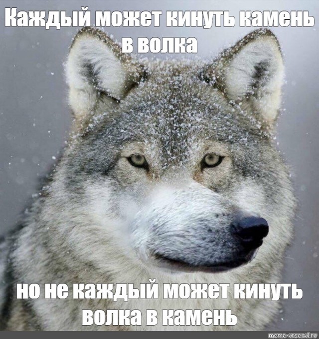 Правильное мнение: Отличие баб от женщин