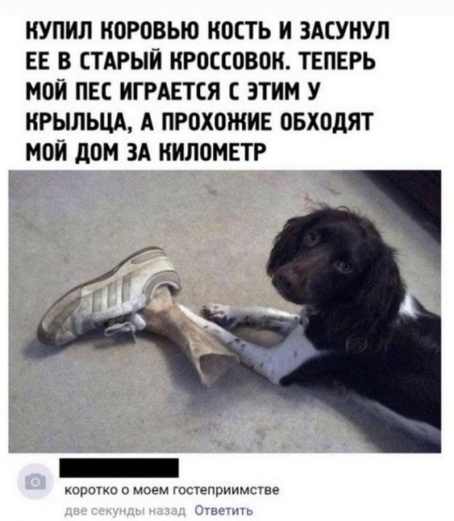 Всего понемногу. От 12.08