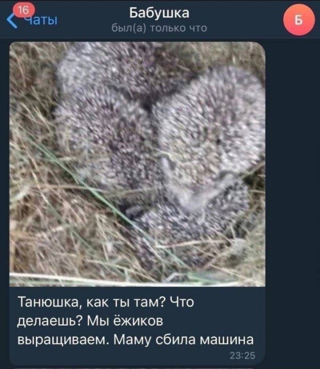 Всего понемногу. От 22.12.23