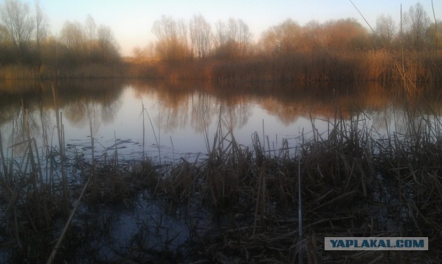 А за что? Просто так.