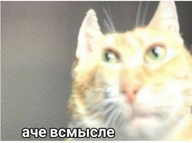 Тест небольшой камеры