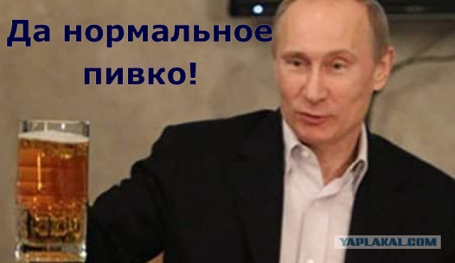 Правительство РФ подняло пошлину на импорт пива из недружественных стран в 2,5 раза