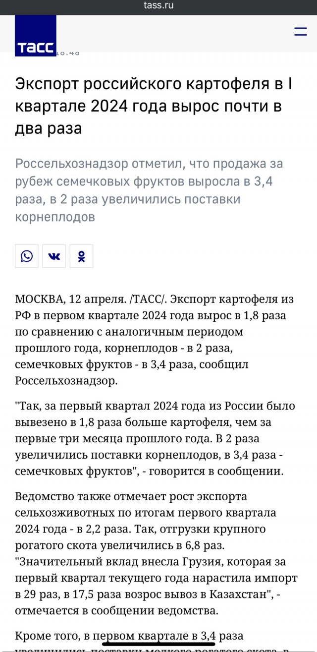 Дороже всего — картошка. Почему даже в самый сезон в России дорожают овощи, фрукты, ягоды, и дешевле они не станут