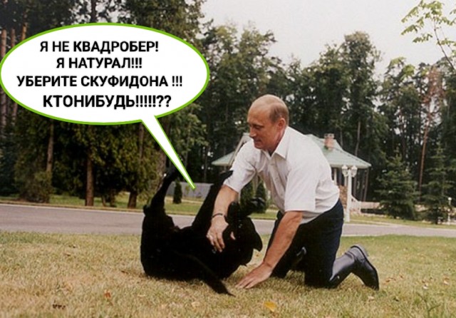 Погладил