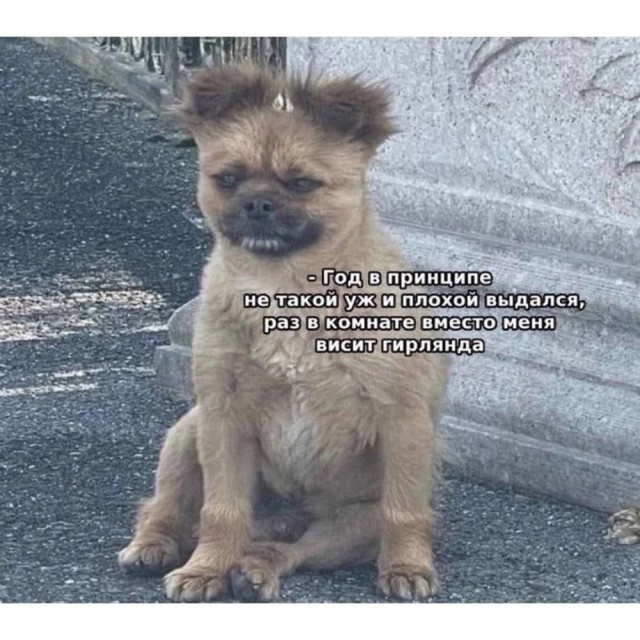 Скоро, скоро Новый год
