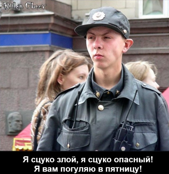 Веселые картинки в пятницу (07.08)