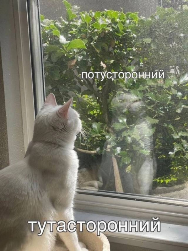 А когда будет восстание машин?