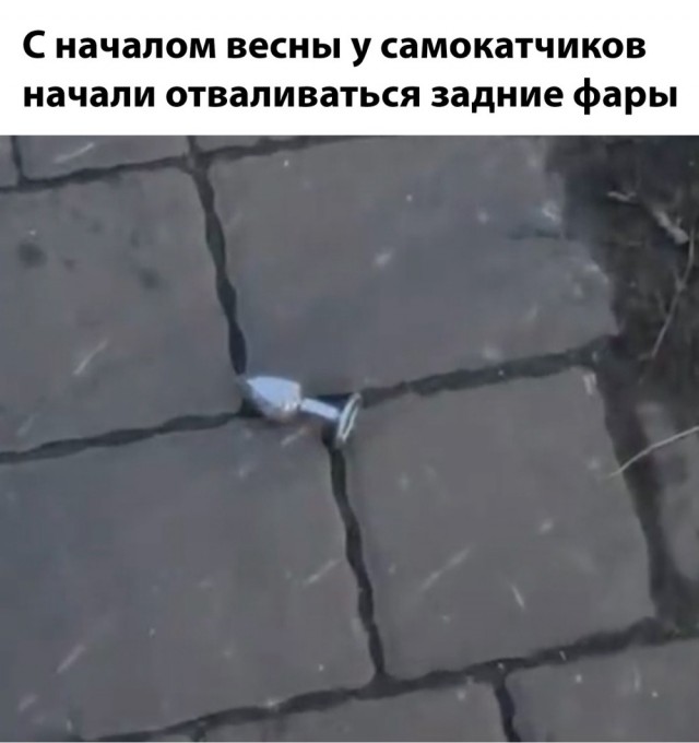 Весёлый полтишок 18.03.2025