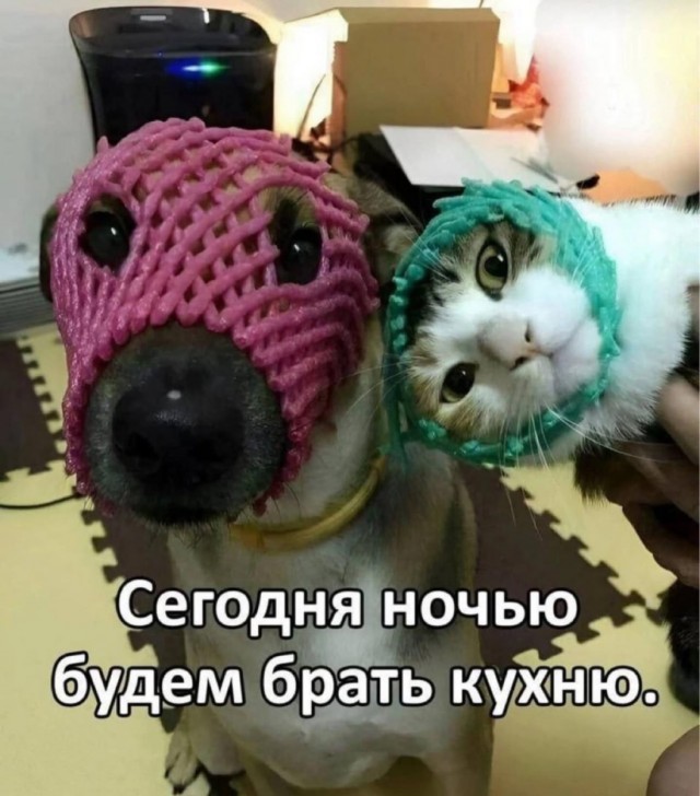 Картинки разные с надписями и без