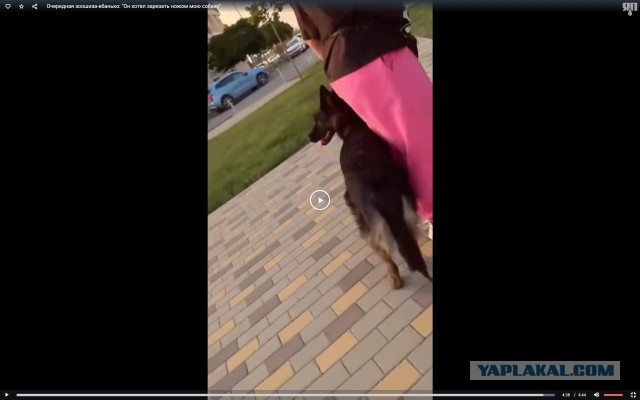 "Он хотел зарезать ножом мою собаку"