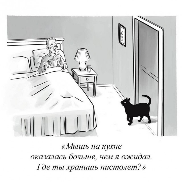 Давно не было....