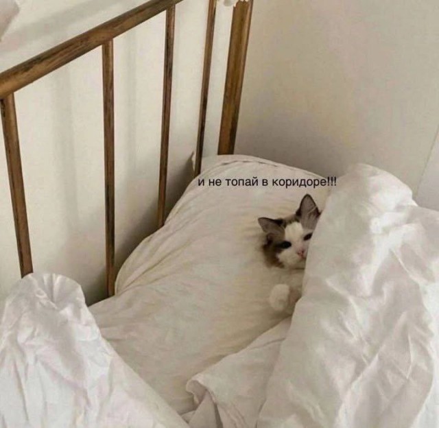 Тапки надевай