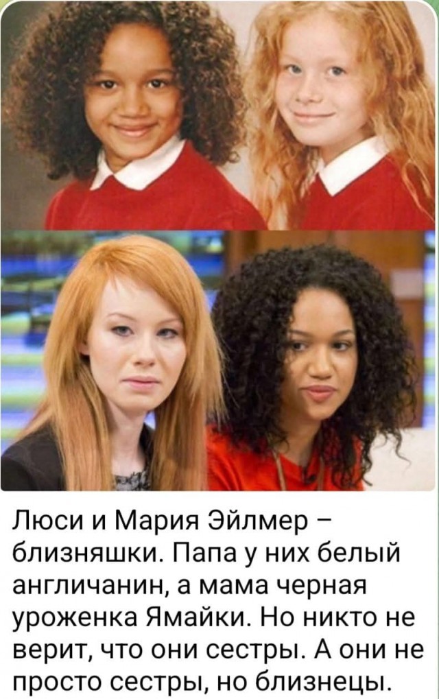 Верьте или нет, но они близнецы., одна пикча