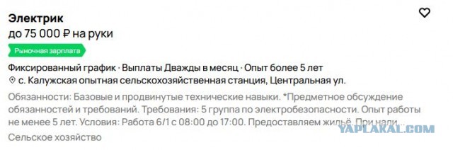 Сантехники и электрики станут самыми важными профессиями 2030–х годов,