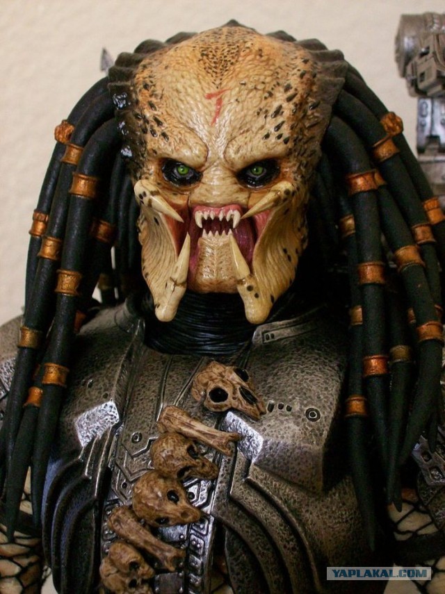 Полуволосатый