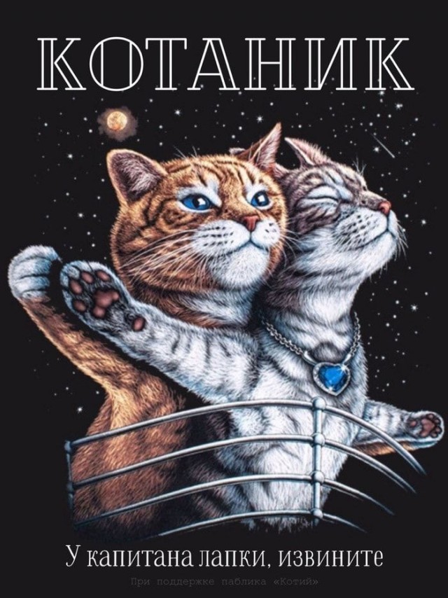 Прикольные и просто красивые картинки 18.11.2025