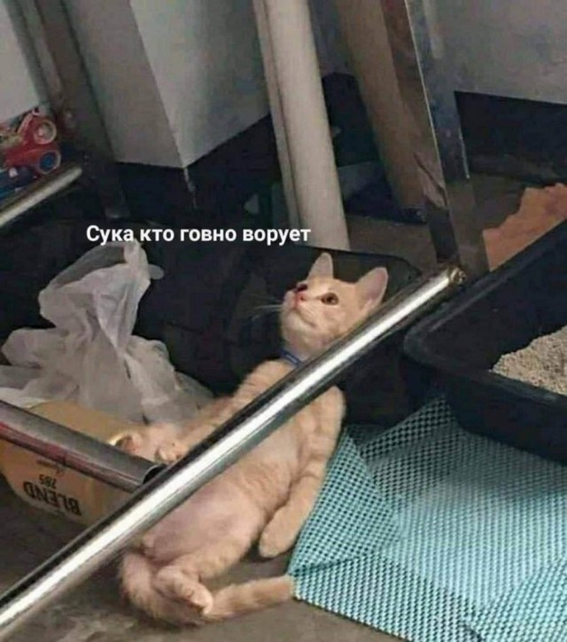 Пятничные картинки